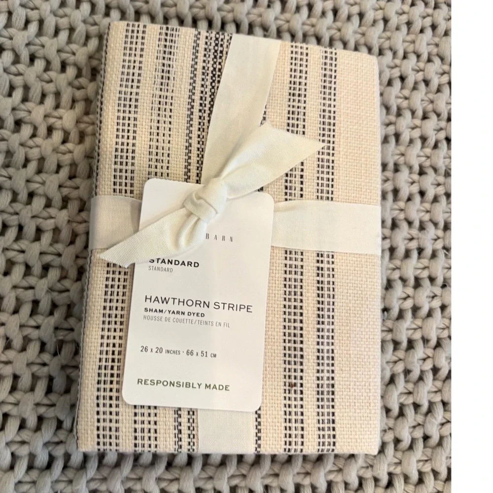 Pottery Barn Hawthorn Stripe Standard Sham Yarn Dyed Neutral 26x20 New